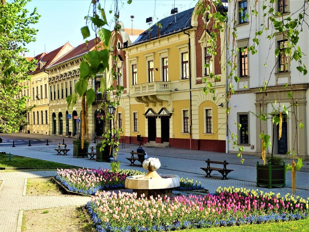 Fortuna Apartman Mini Егер Екстериор снимка
